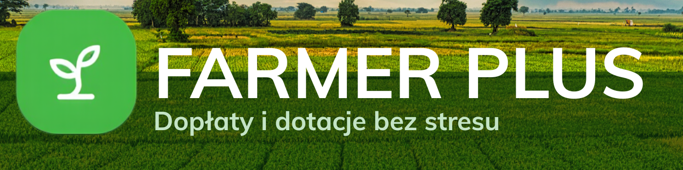 business zone nagłówek