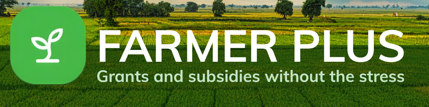 business zone nagłówek